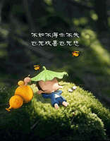 不得不失 不得不失