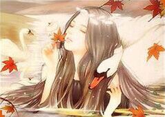 空瞻枫愁 江湖自命名花