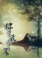 若只如初见 若只如初见