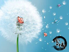 雪域三周年纪念花 江湖自命名花